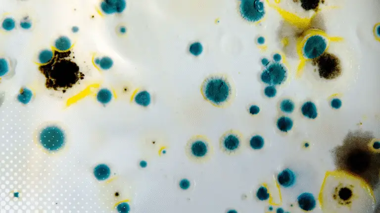 mold toxicity shown by mold spores growing