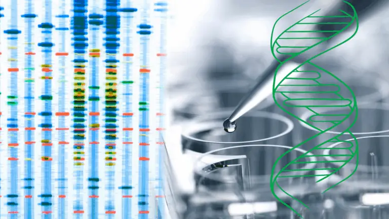 Results from a genetic methylation test
